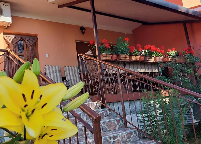 Apartman Branka