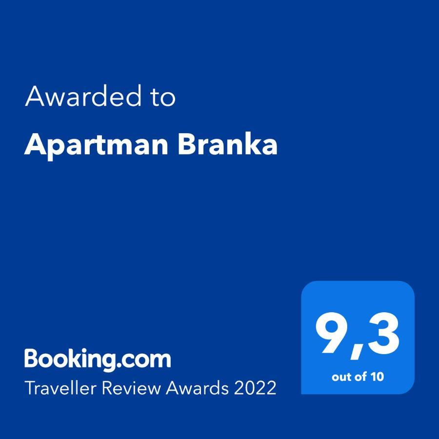 Apartment Branka *