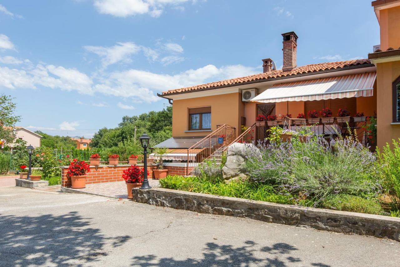 Apartment Branka