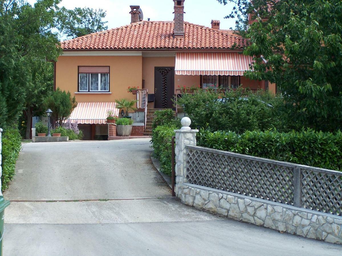 Apartment Branka